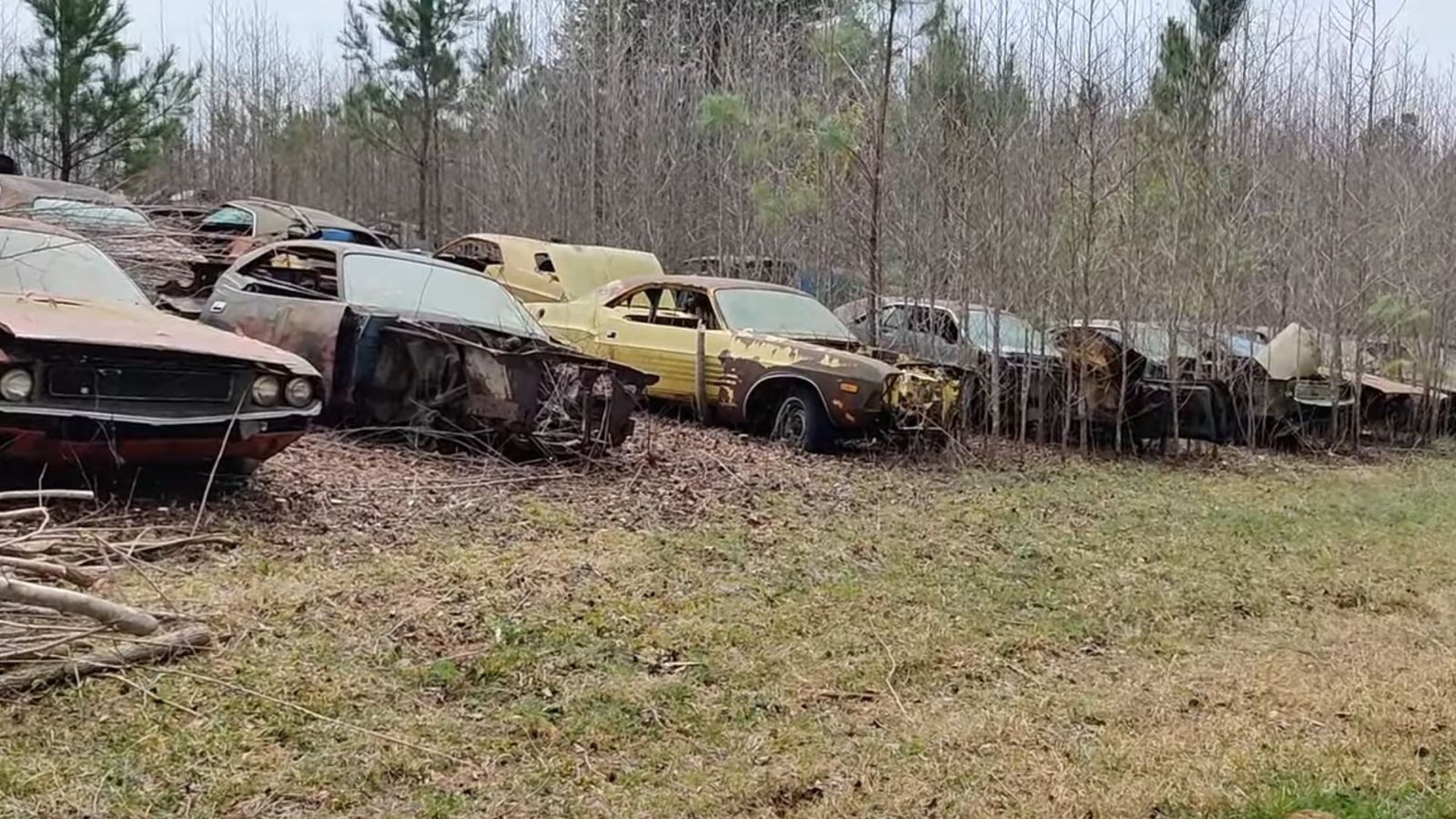 Mopar Muscle Car Junkyard Is Hidden In The Woods