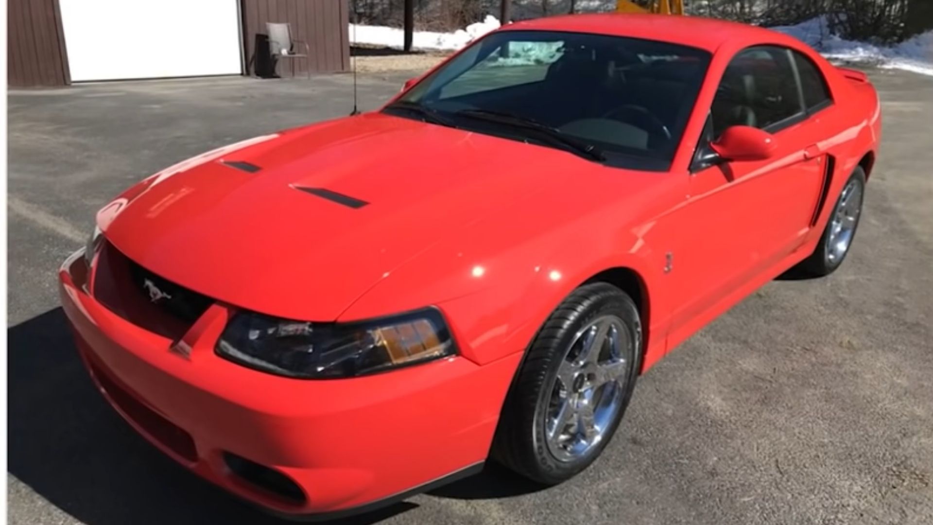 Time Capsule 2003 Terminator Mustang Cobra Worth Big Bucks Today