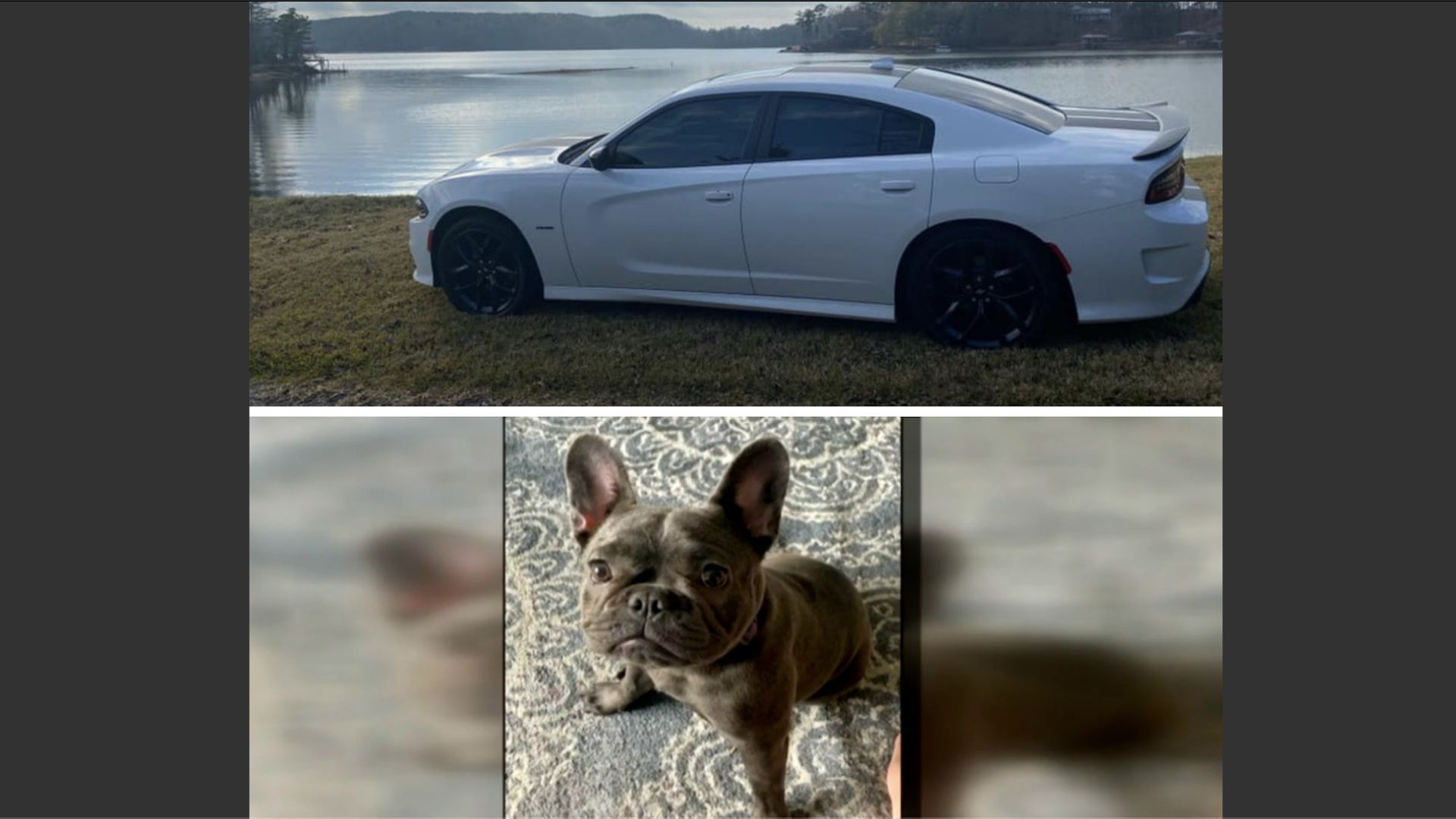 Dodge Charger And Bulldog Stolen In Atlanta