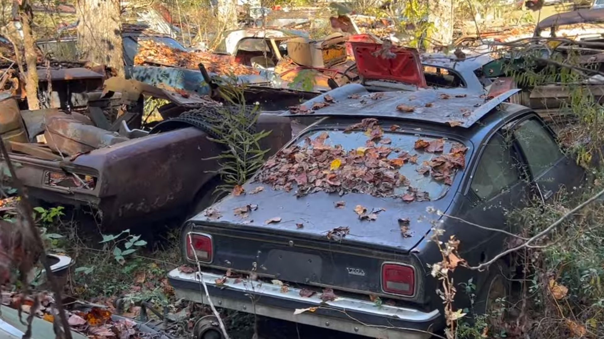 An Amazing Car Collection Is Hidden In Tennessee