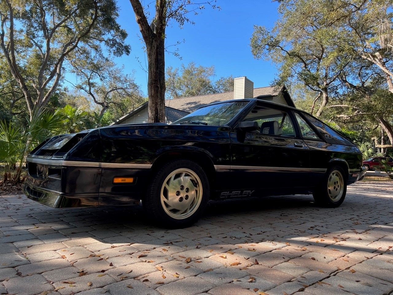 1987 charger