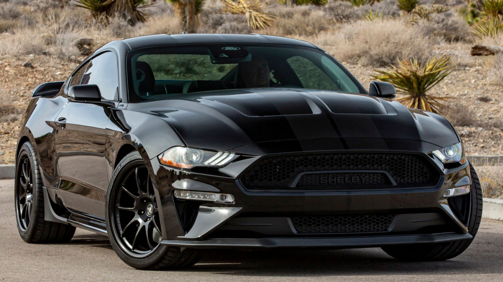 Shelby Celebrates Carroll With A Special Pony