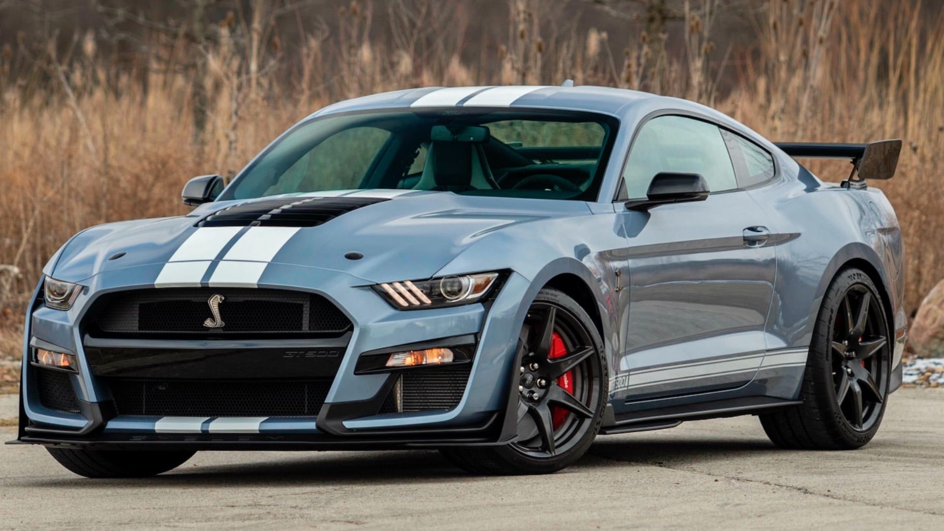 Rare 2022 Ford Shelby GT500 Heritage Edition