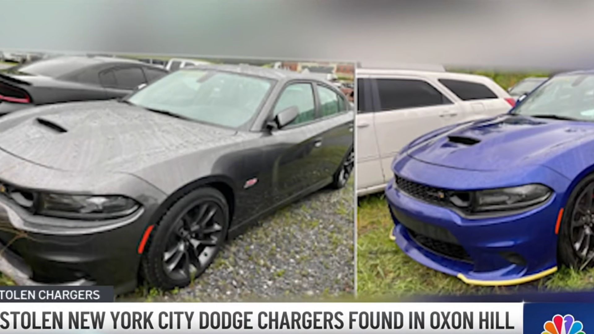 NYC Man Tracks His Stolen Dodge Charger