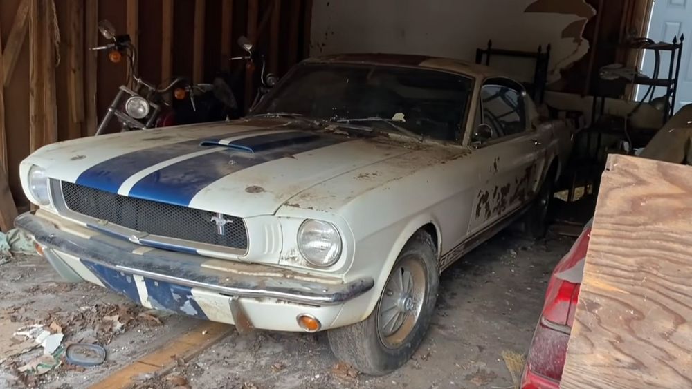 1965 Shelby GT350 Found Completely Abandoned