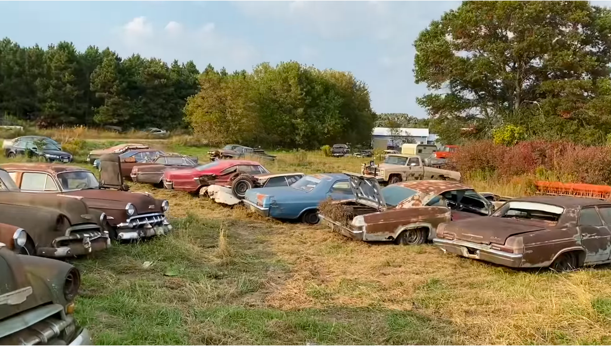 Junkyard Has More Rotting Chevys Than Jason Collier Has