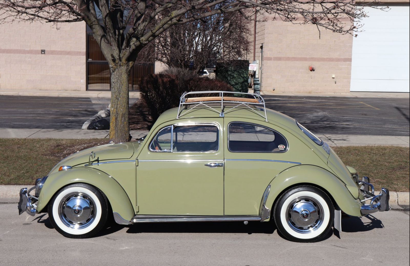 Beetle volkswagen 1960