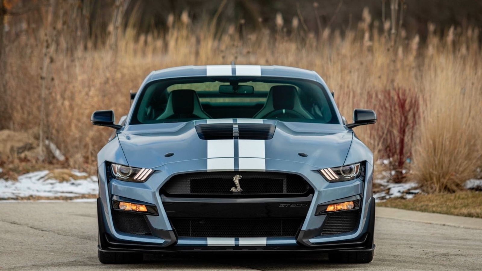 Rare 2022 Ford Shelby GT500 Heritage Edition