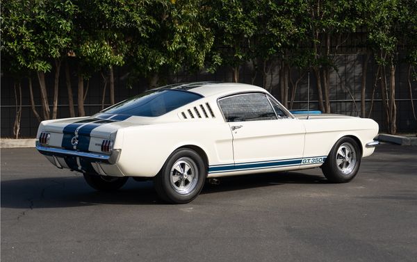 Early Bird Special: 1965 Shelby GT350